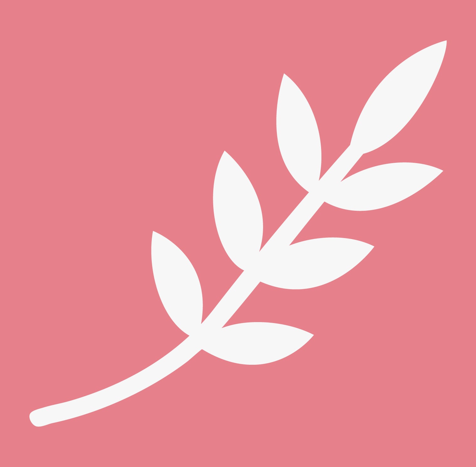 perineal-oil